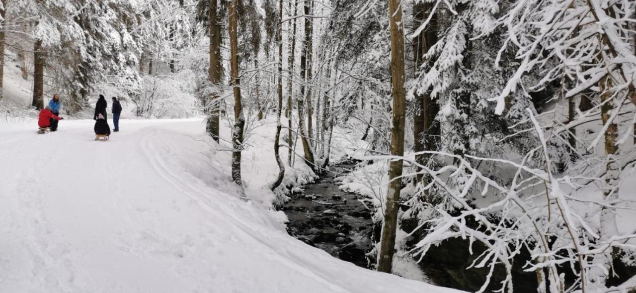Am Kaltenbach - Spital Am Semmering, Stuhleck ภายนอก รูปภาพ