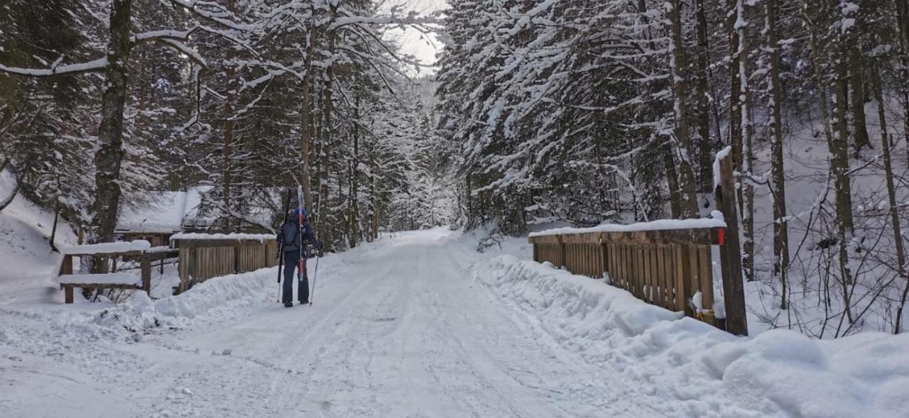 Am Kaltenbach - Spital Am Semmering, Stuhleck ภายนอก รูปภาพ