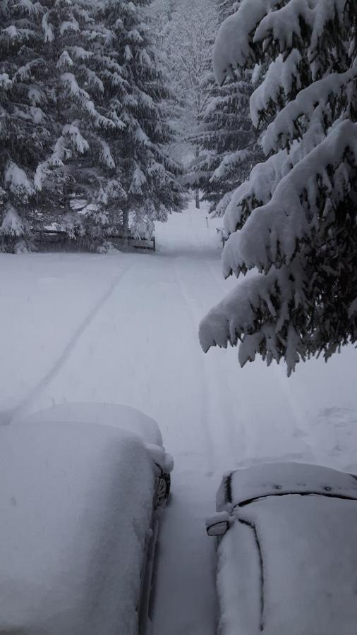 Am Kaltenbach - Spital Am Semmering, Stuhleck ภายนอก รูปภาพ